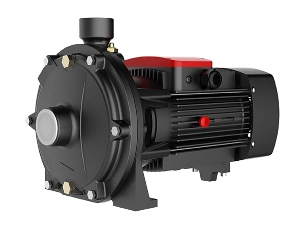 F2CD - поверхностные центробежные насосы с двумя рабочими колесом FANCY из чугуна F2CD - поверхностные центробежные насосы с двумя рабочими колесом FANCY из чугуна