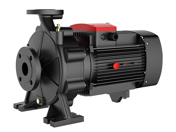 FST - консольно-моноблочные насосы FANCY из чугуна FST - консольно-моноблочные насосы FANCY из чугуна