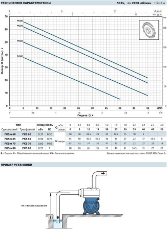 Вихревой насос Pedrollo PKS 70
