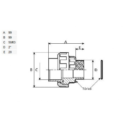 Комплект фитингов 2” / DN 50-63 для насосов DAB EUROSWIM И E.SWIM