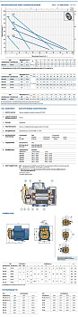 Вихревой насос Pedrollo PVm 55