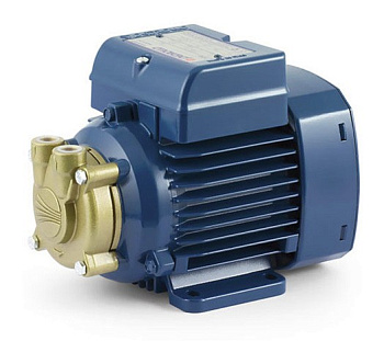 Вихревой насос Pedrollo PV 55