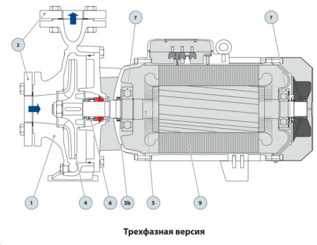 Центробежный насос Pedrollo F 32/200AH
