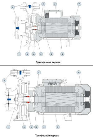 Центробежный насос Pedrollo F 40/160B