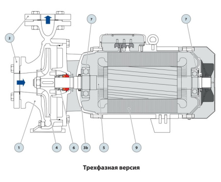 Центробежный насос Pedrollo F 40/250A
