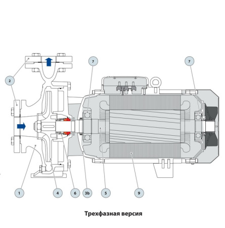 Центробежный насос Pedrollo F 50/200B