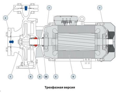 Центробежный насос Pedrollo F 50/250AR