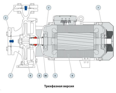 Центробежный насос Pedrollo F 65/200A