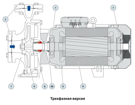Центробежный насос Pedrollo F 80/160A