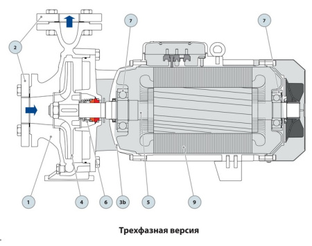 Центробежный насос Pedrollo F 80/200A