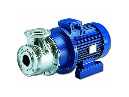 Насос Lowara SHOE 32-160/40/D